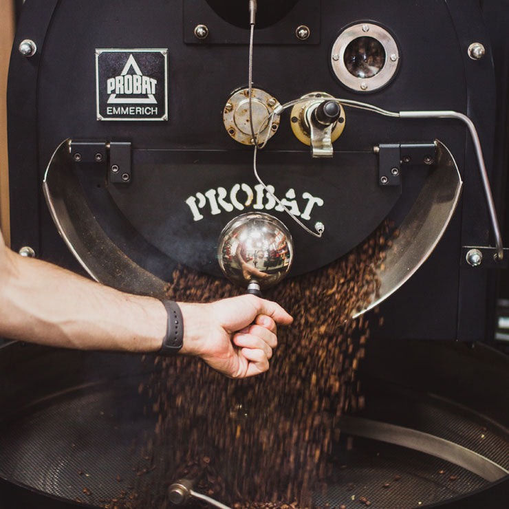 Roaster Profile: Probat