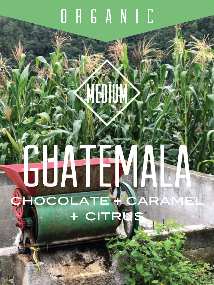 Organic Guatemala Huehuetenango