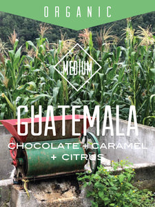 Organic Guatemala Huehuetenango